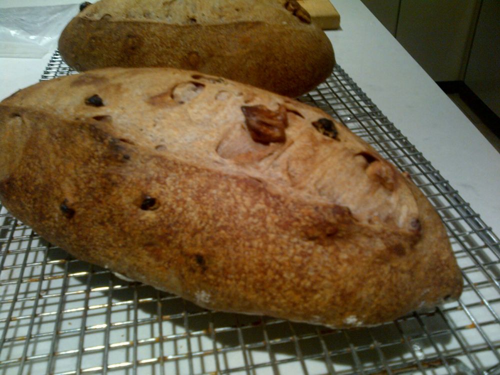 Red WIne Raisin Sourdough Bread