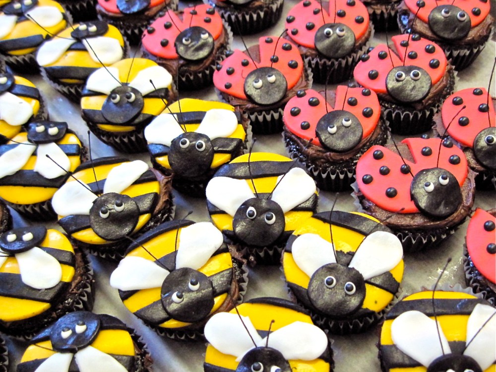 Lady Bugs n' Bumblebee cupcakes